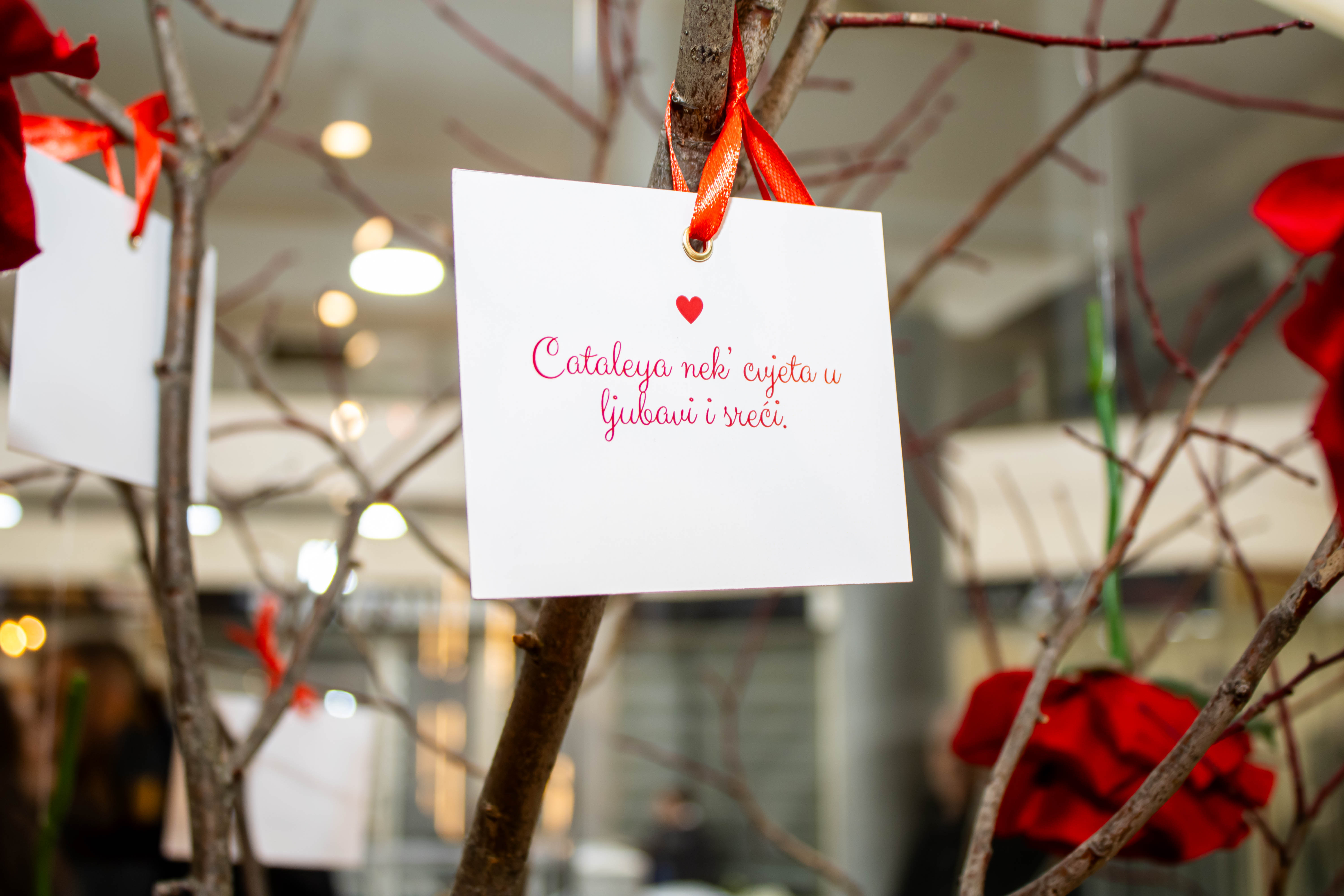 Salon fotografija 10